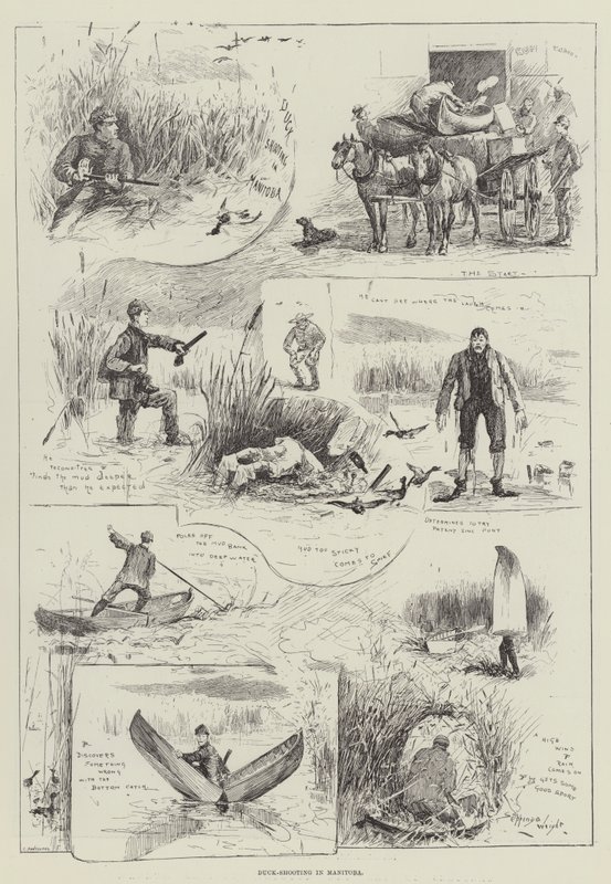 Kachní střelba v Manitobě od Henry Charles Seppings Wright