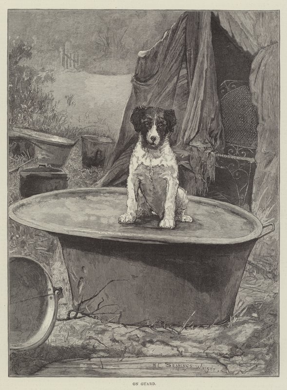Na stráži od Henry Charles Seppings Wright