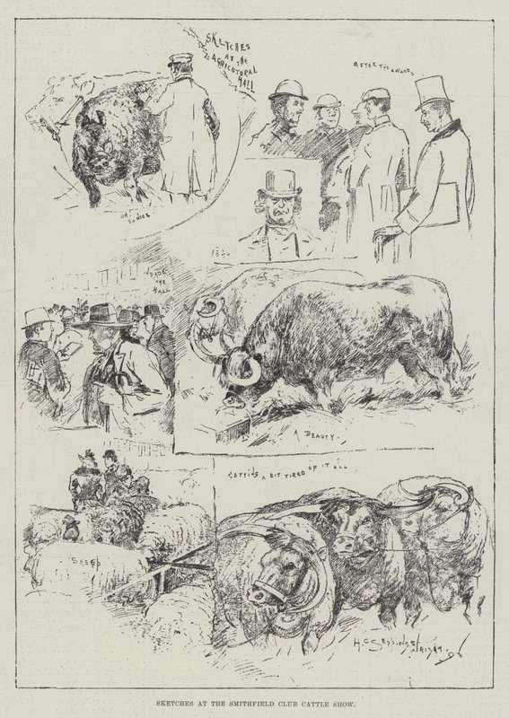 Skici na Smithfield Club Cattle Show od Henry Charles Seppings Wright