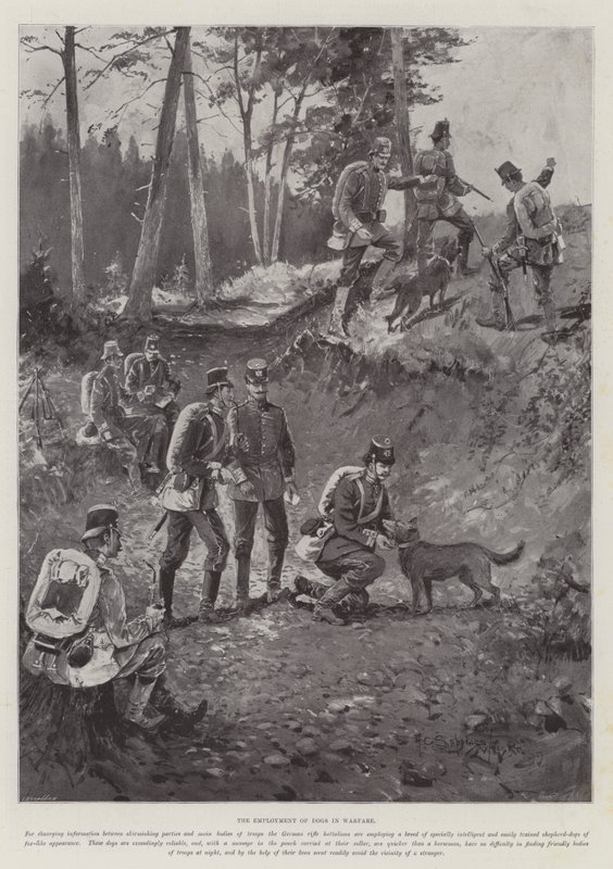 Zaměstnání psů ve válce od Henry Charles Seppings Wright