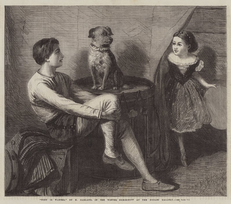 Hledá se Toby od Henry Garland