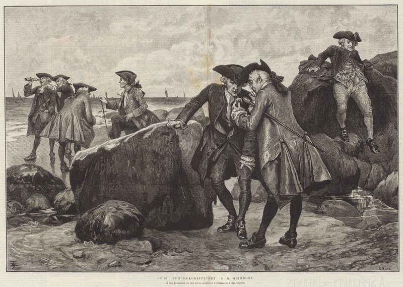 Konchologové od Henry Gillard Glindoni