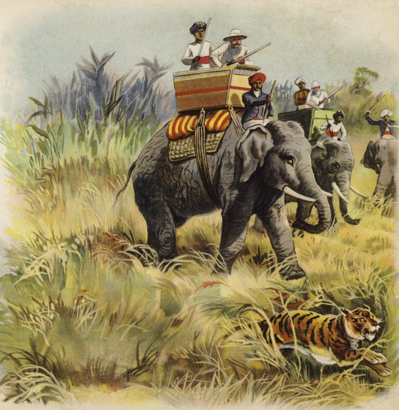 Prince of Wales lov tygra v Indii (chromolitho) od Henry Payne