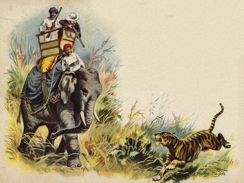 Střelba tygra prince z Walesu během královského turné v Indii, 1905 (chromolitho) od Henry Payne