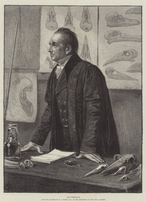 Profesor od Henry Stacey Marks