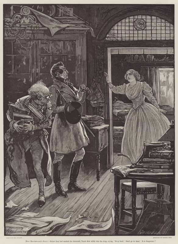 Bláznovství Beau Braithwaita od Henry Stephen Ludlow