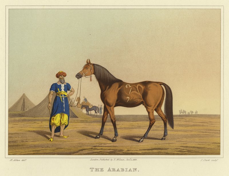 arabština (chromolitho) od Henry Thomas Alken