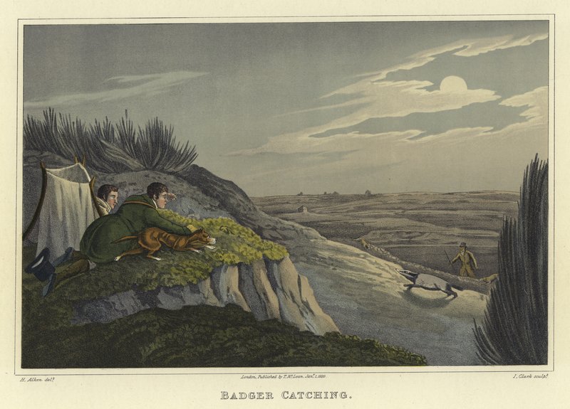 Chytání jezevců (chromolitho) od Henry Thomas Alken