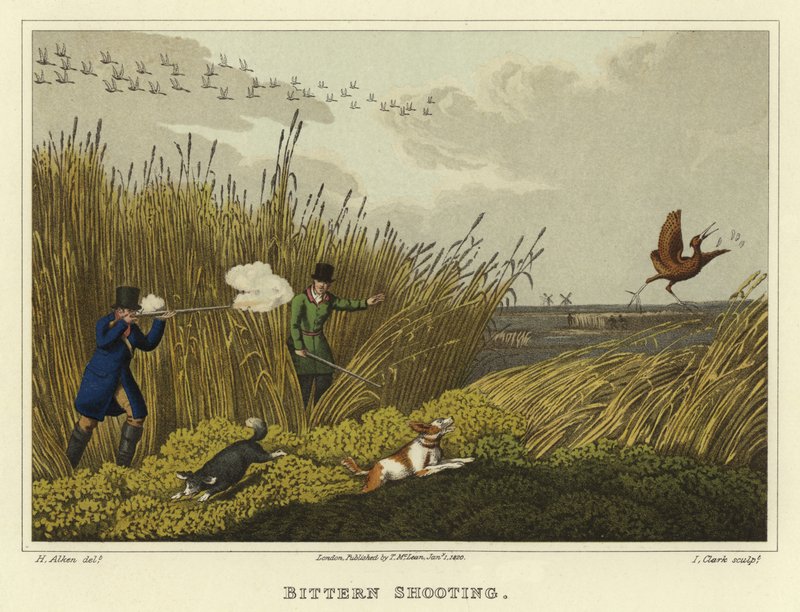 Střelba bitternů (chromolitho) od Henry Thomas Alken