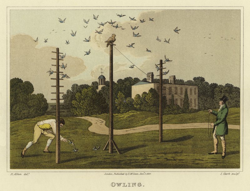 sova (chromolitho) od Henry Thomas Alken