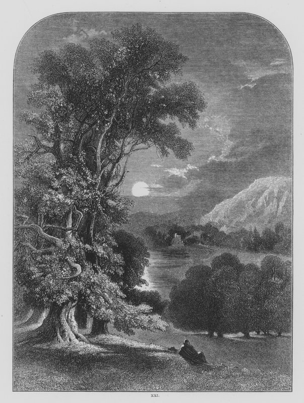 John Milton, Zamyšlený od Henry after Warren