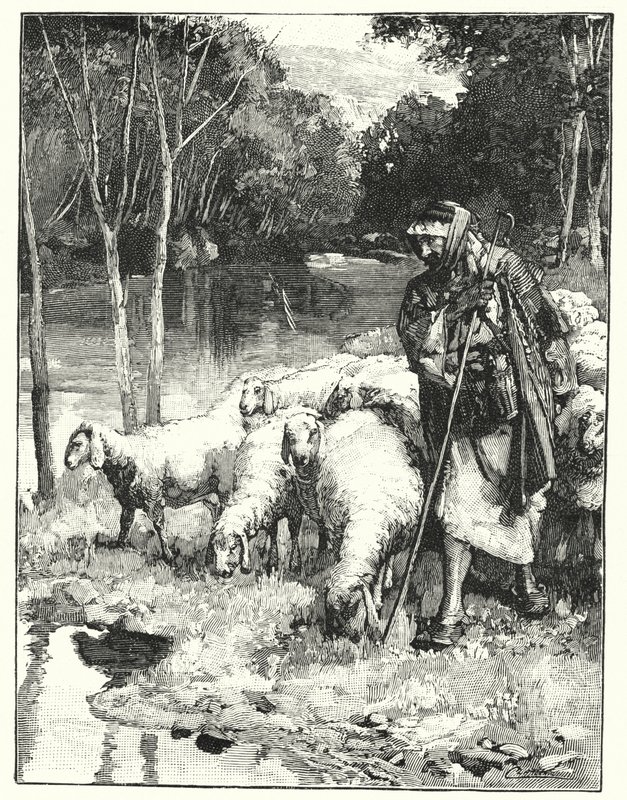 Pastýř a jeho stádo v Anti-Libanon (litho) od Henry Andrew Harper