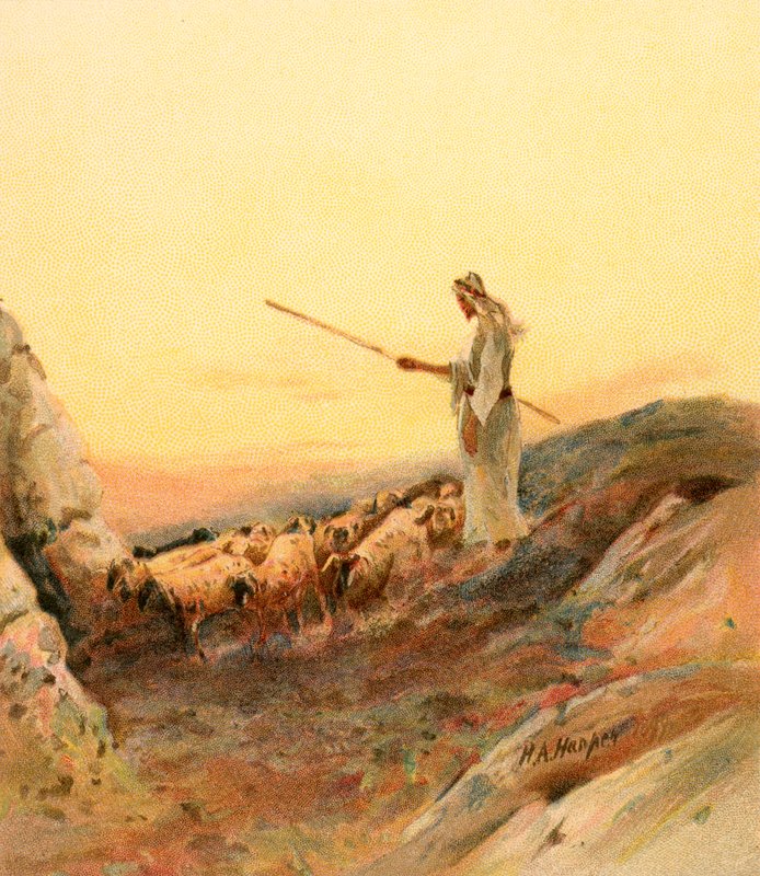 Pastýř počítá své ovečky od Henry Andrew Harper
