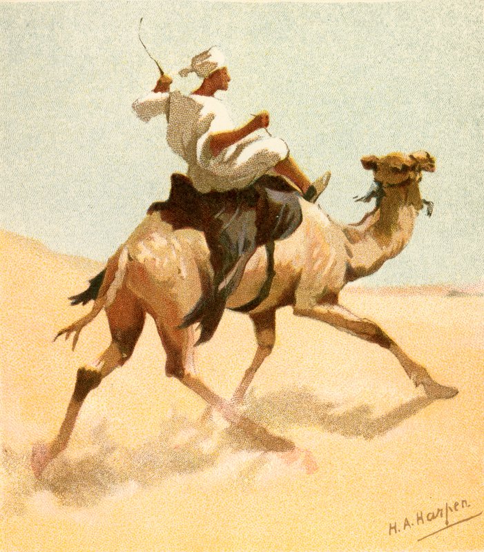 Arabský pošťák od Henry Andrew Harper