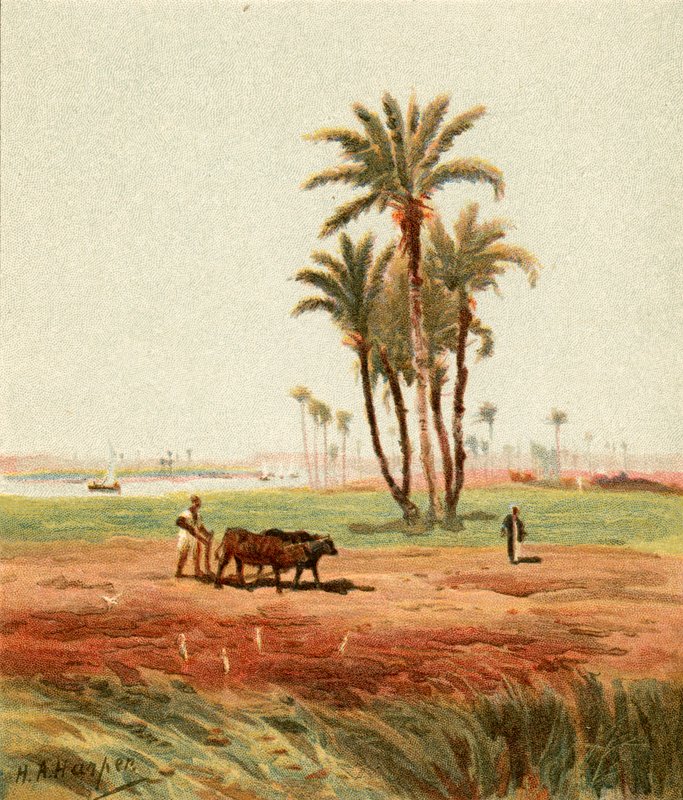 V terénu od Henry Andrew Harper