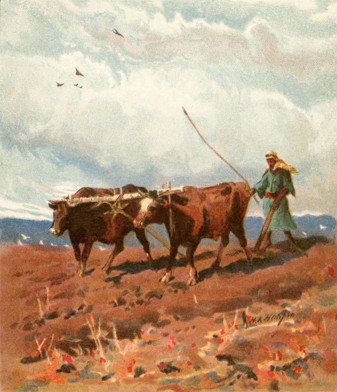 Orba od Henry Andrew Harper