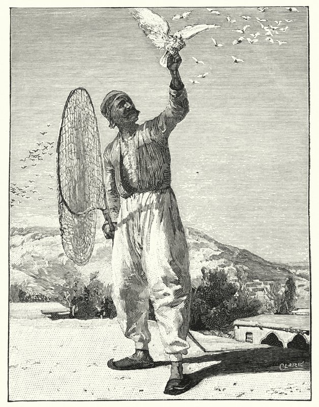 Závěsný od Henry Andrew Harper