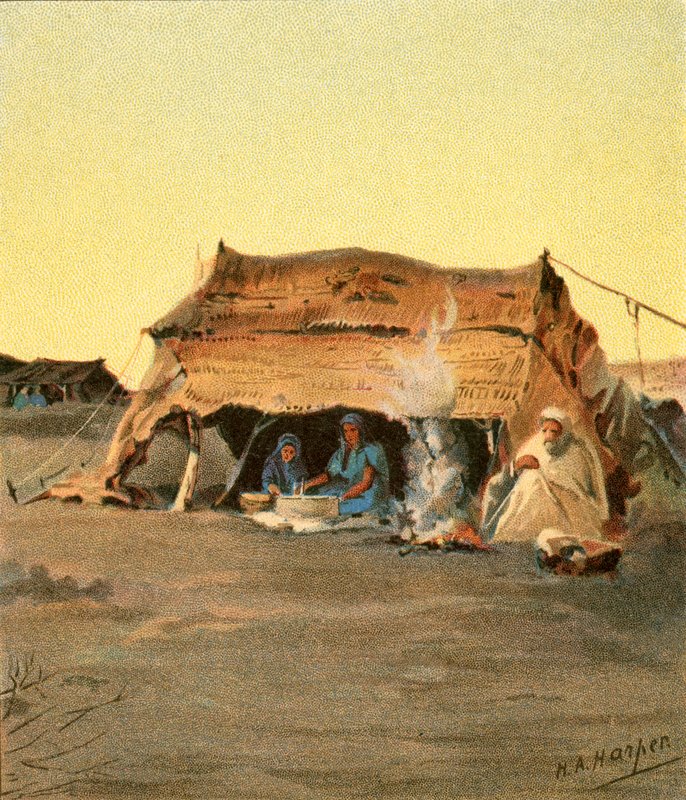 Život stanu od Henry Andrew Harper
