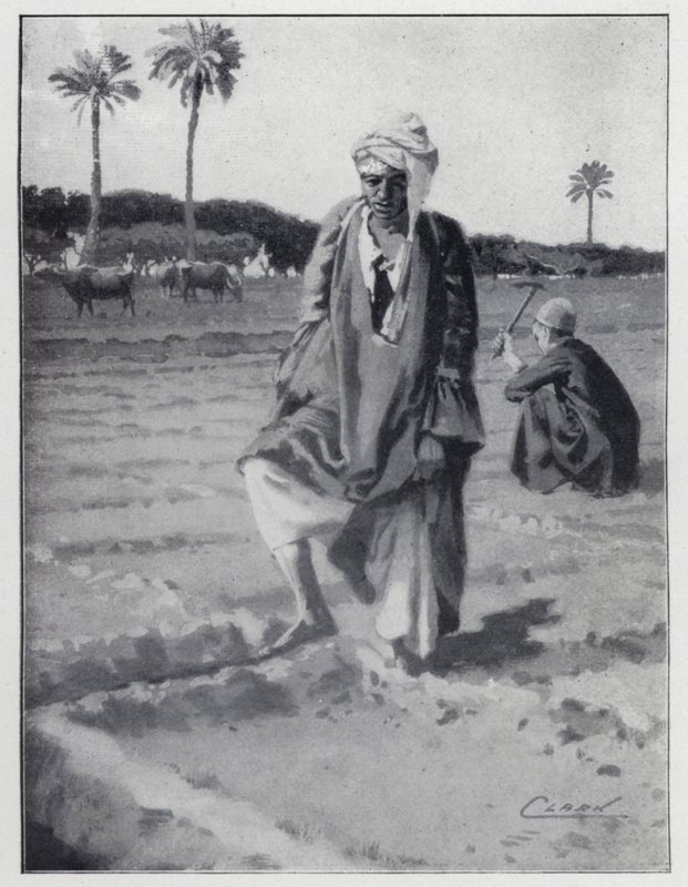 Zalévání nohou v Gizeh, Egypt (litho) od Henry Andrew Harper