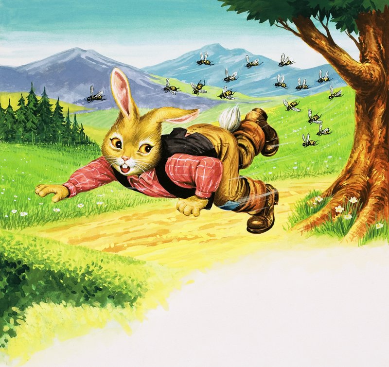 Medvěd králík od Henry Charles Fox