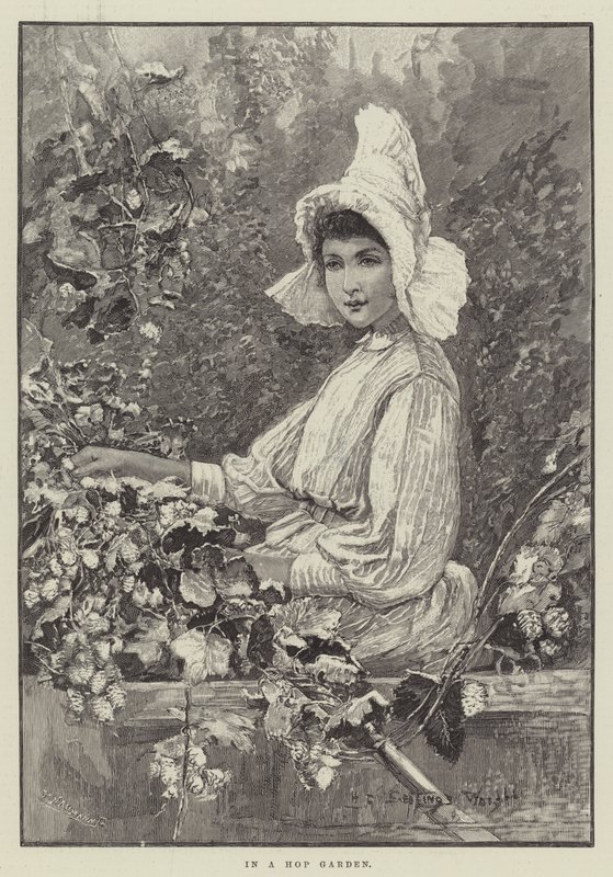 Ve chmelnici od Henry Charles Seppings Wright