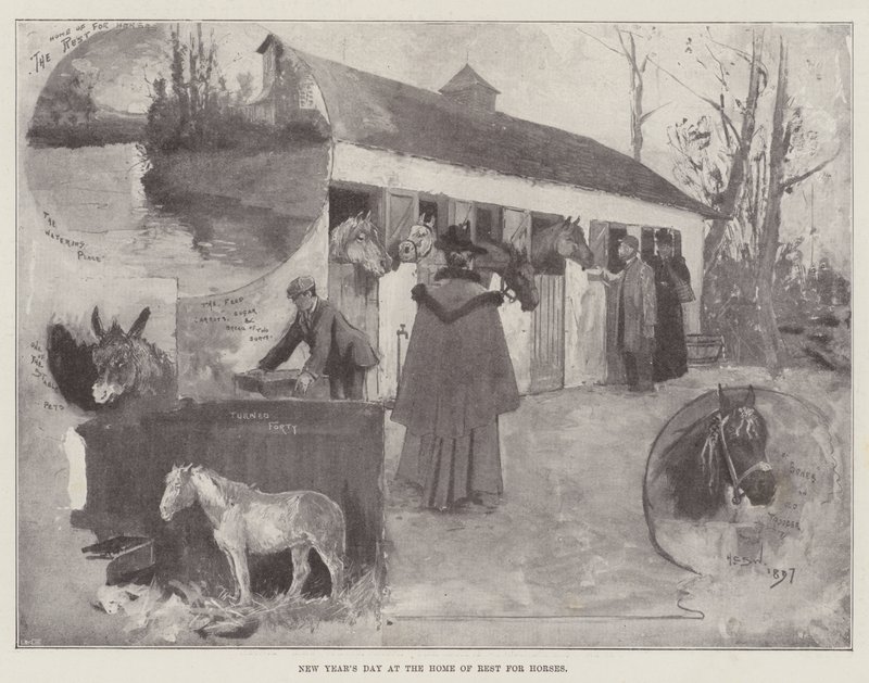 Nový rok v Domově odpočinku pro koně od Henry Charles Seppings Wright