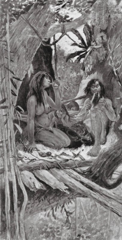 Pravěcí čínští obyvatelé stromů (litografie) od Henry Charles Seppings Wright
