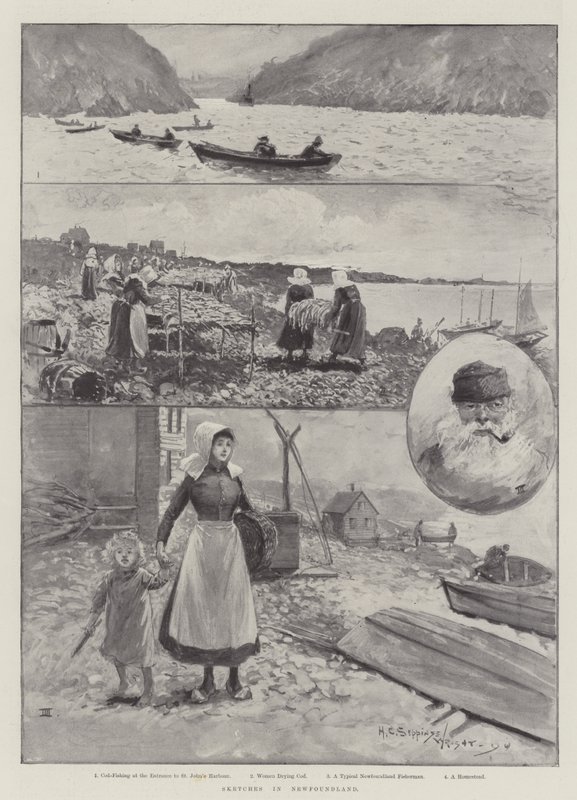 Skici v Newfoundlandu od Henry Charles Seppings Wright