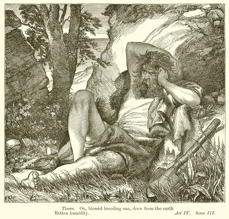 Timon z Athén od Henry Courtney Selous