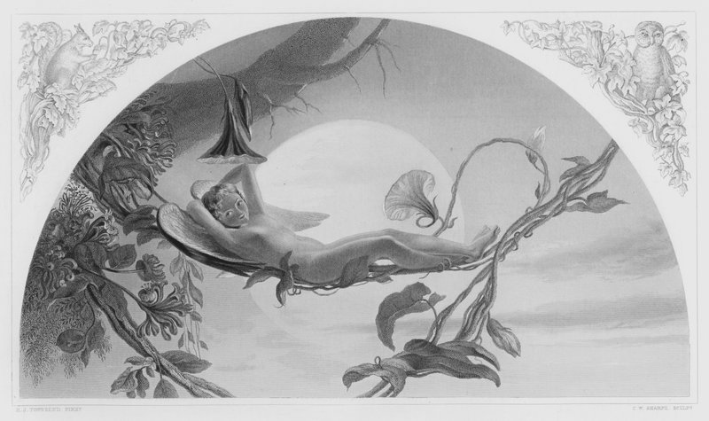 Ariel, z obrázku v královské sbírce (rytina) od Henry James Townsend