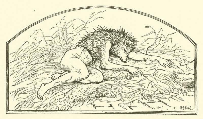 Jack my Hedgehog (rytina) od Henry Justice Ford