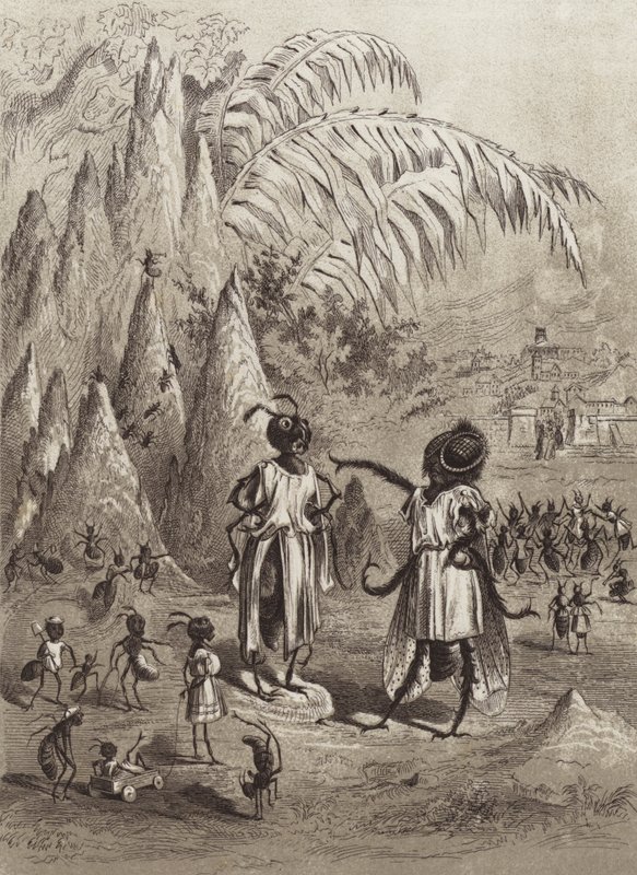 Ezopovy bajky: Mravenec a moucha (litho) od Henry Louis Stephens