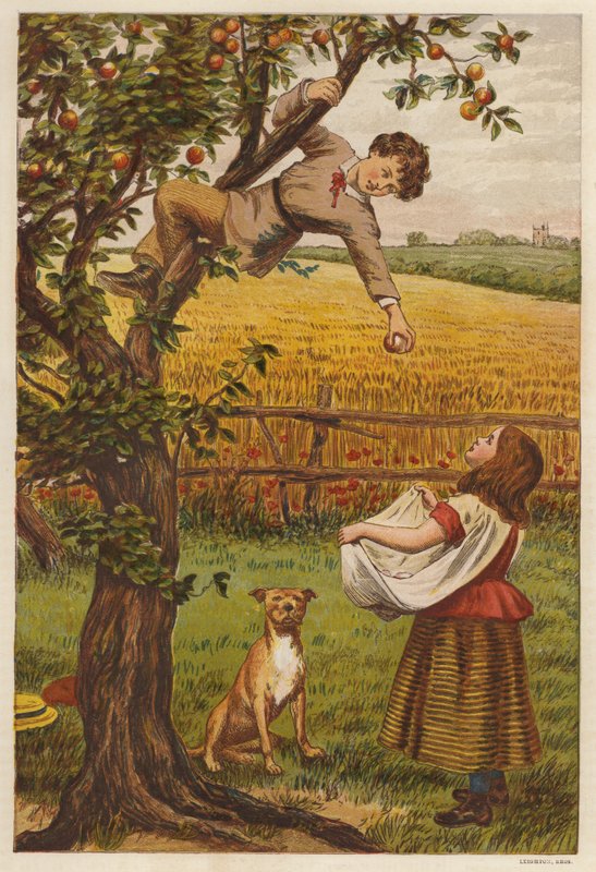 Sbírání jablek (barva lito) od Henry Robert Robertson