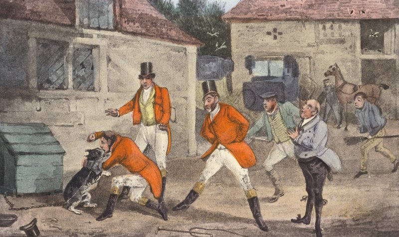 Mytton ovládá divokého psa (litografie) od Henry Thomas (after) Alken