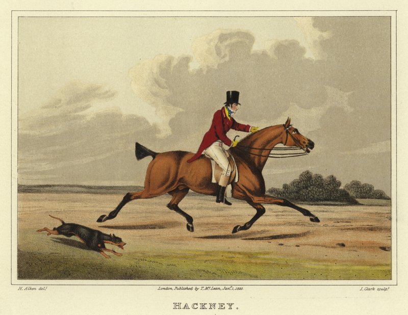 Hackney (chromolitho) od Henry Thomas Alken