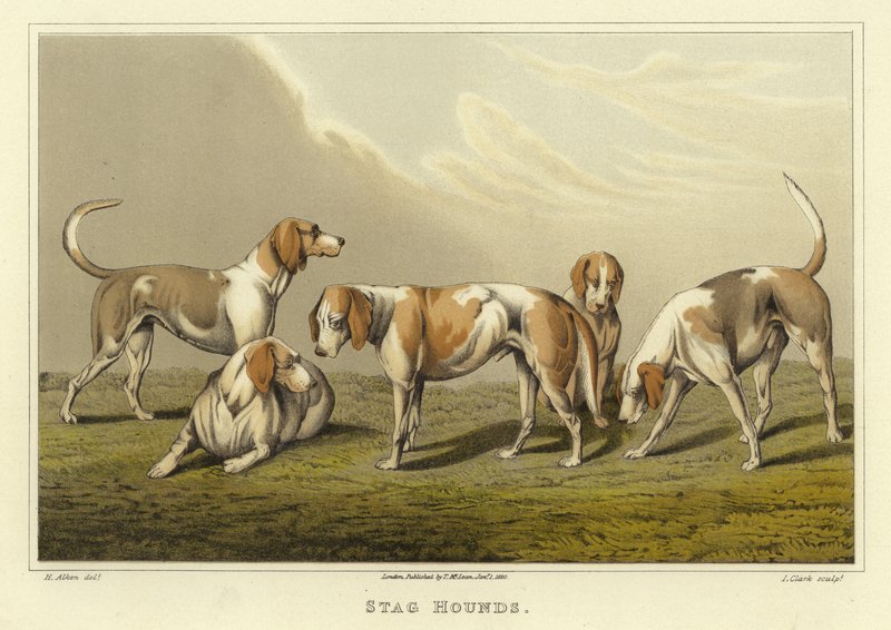 Jeleni (chromolitho) od Henry Thomas Alken