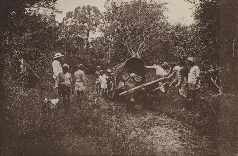 Zničená města Cejlonu: Na cestě do Polonnaruwy (černobílá fotografie) od Henry W. Cave