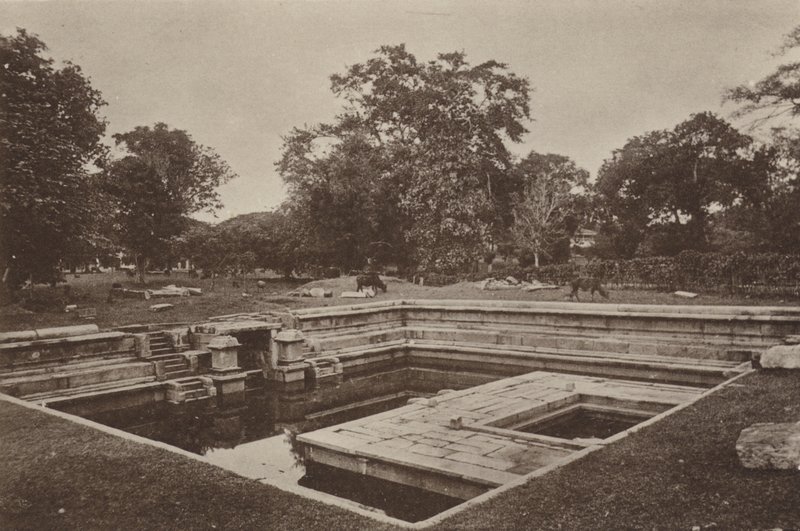 Zničená města Cejlonu: Pokuna (černobílá fotografie) od Henry W. Cave