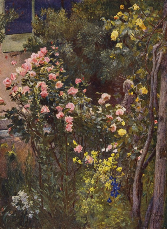 V růžové zahradě, Catherine Mermet a Marechal Niel doma (barevná litografie) od Herbert Arnould Olivier