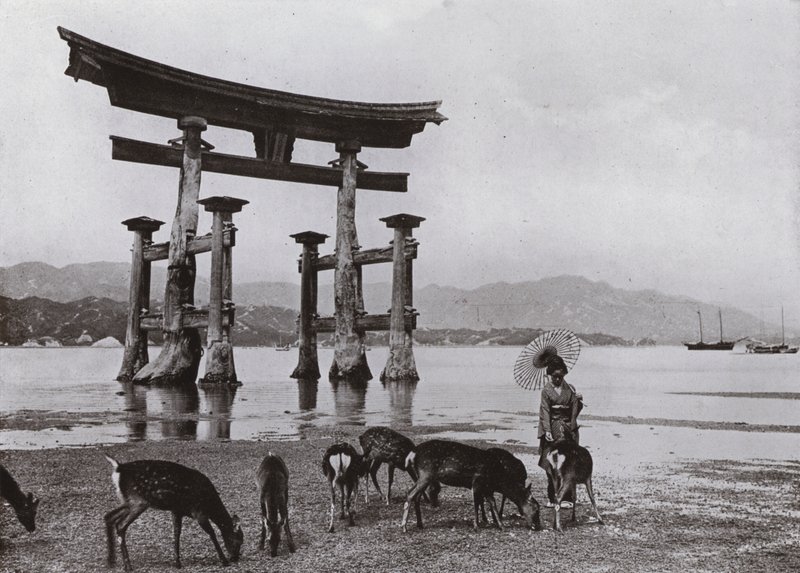 Stará Torii v Miyajima (černobílá fotografie) od Herbert Ponting