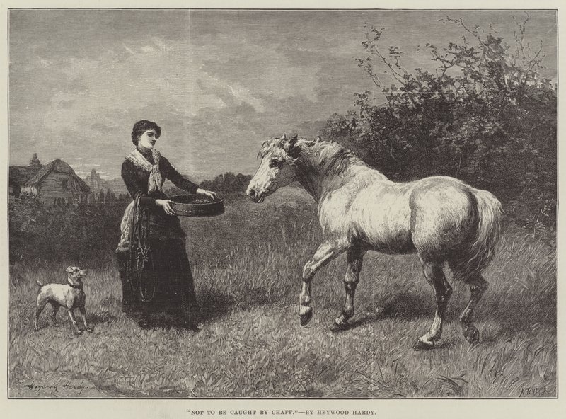 Nenechat se chytit plevami od Heywood Hardy