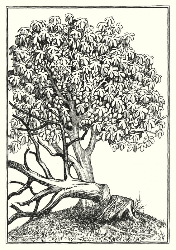 Ilustrace ke Kázání na hoře (rytina) od Horace J. Knowles