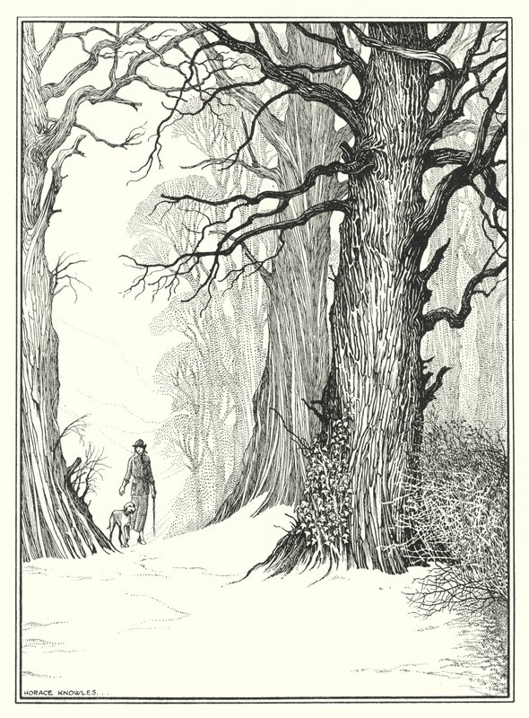 Leden (litografie) od Horace J. Knowles