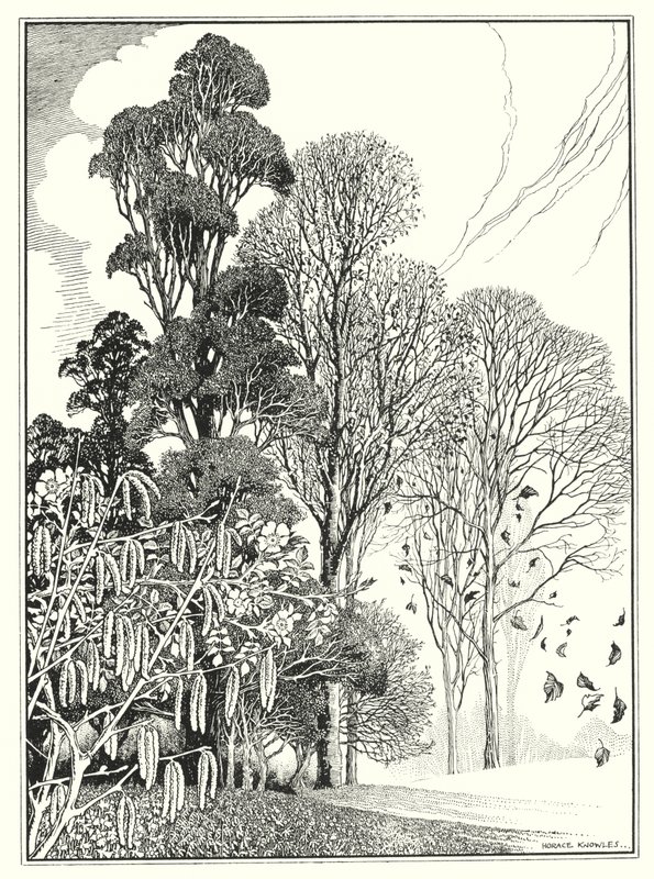 Měsíce (litografie) od Horace J. Knowles