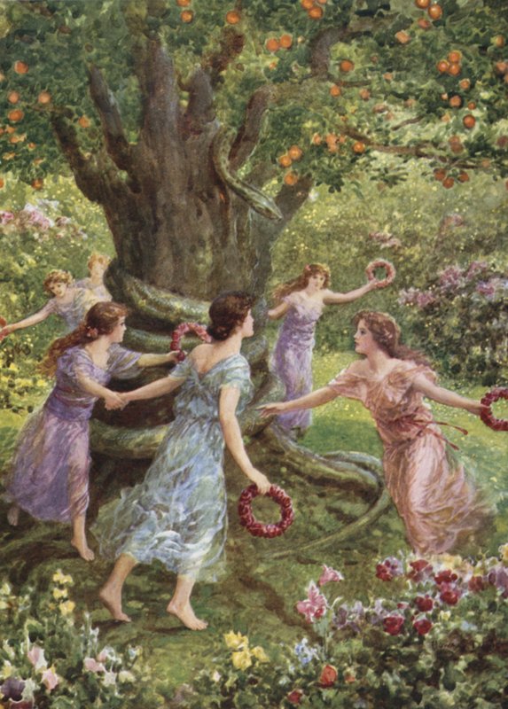 Perseus je viděl tančit kolem kouzelného stromu. Z knihy Jak Perseus zabil Gorgonu (barva litho) od Howard Davie