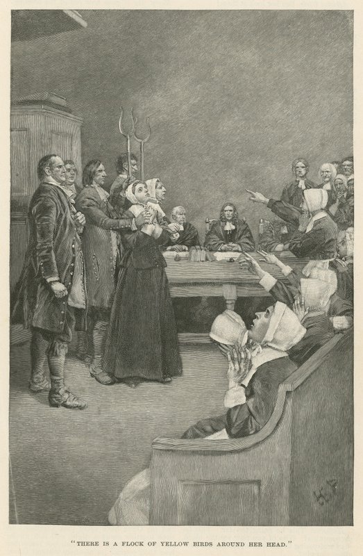 Kolem její hlavy je hejno žlutých ptáků od Howard Pyle