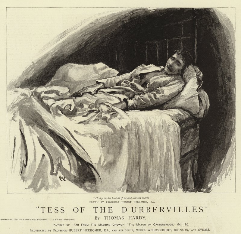 Tess z D