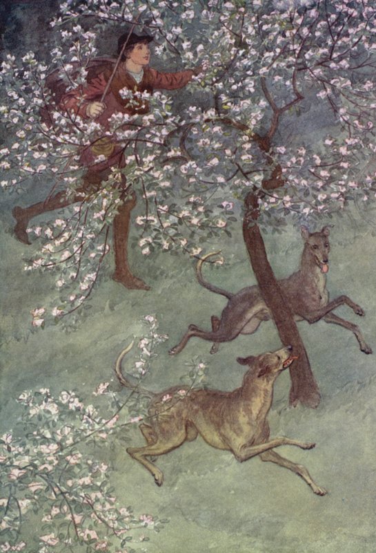 Ilustrace pro Veselé paničky z Windsoru od Hugh Thomson