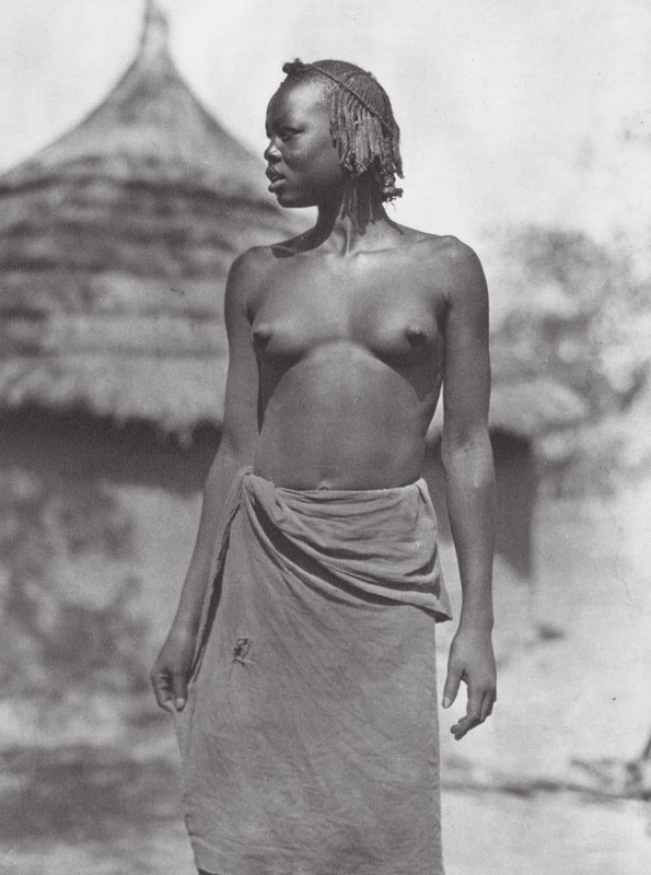 Afrika: Eliri dívka (čb fotografie) od Hugo Adolf Bernatzik