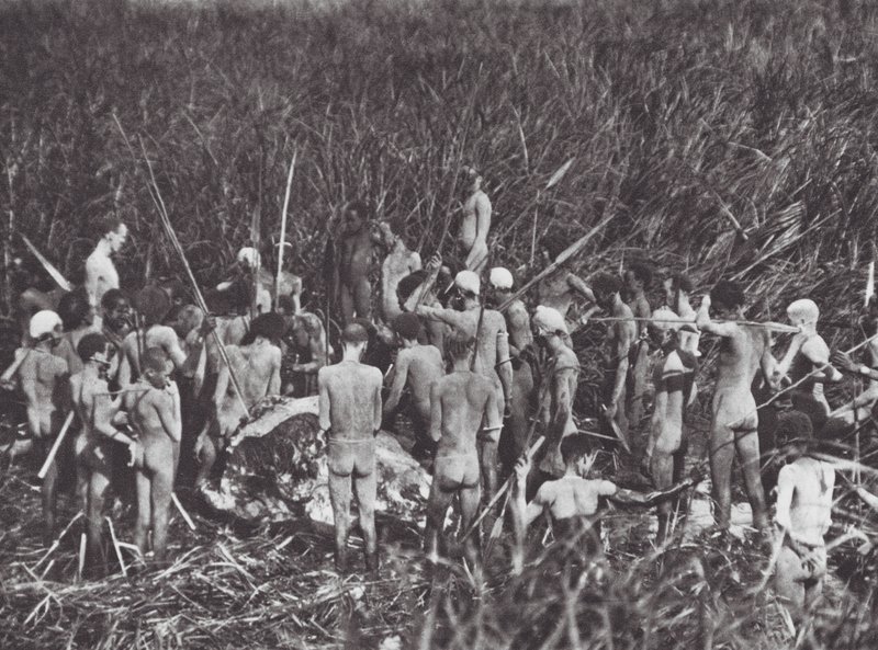 Afrika: Nuerští lovci s tělem slona (čb fotografie) od Hugo Adolf Bernatzik